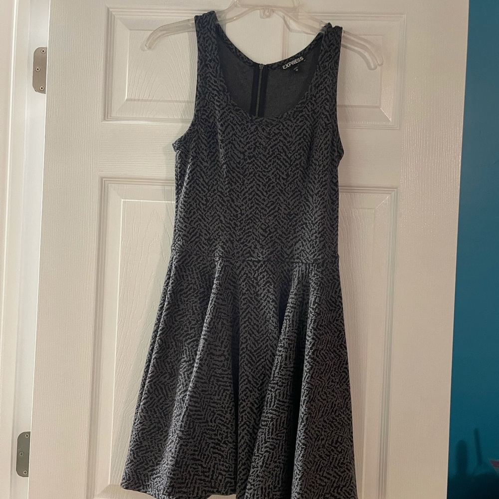 Express fit and flare dress